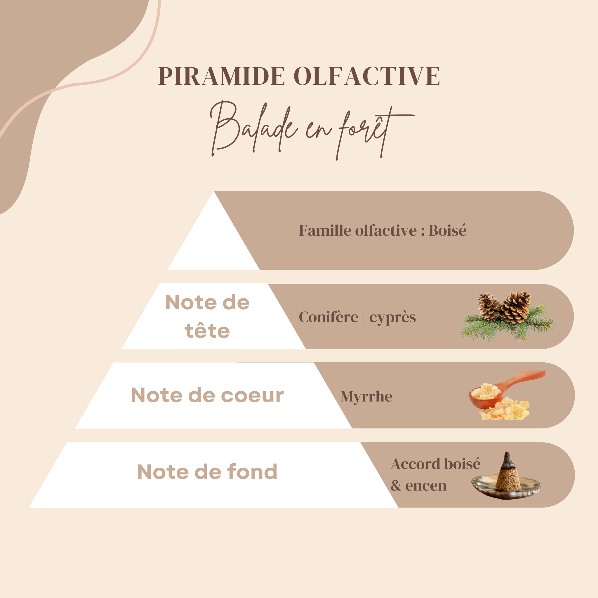 Balade en forêt