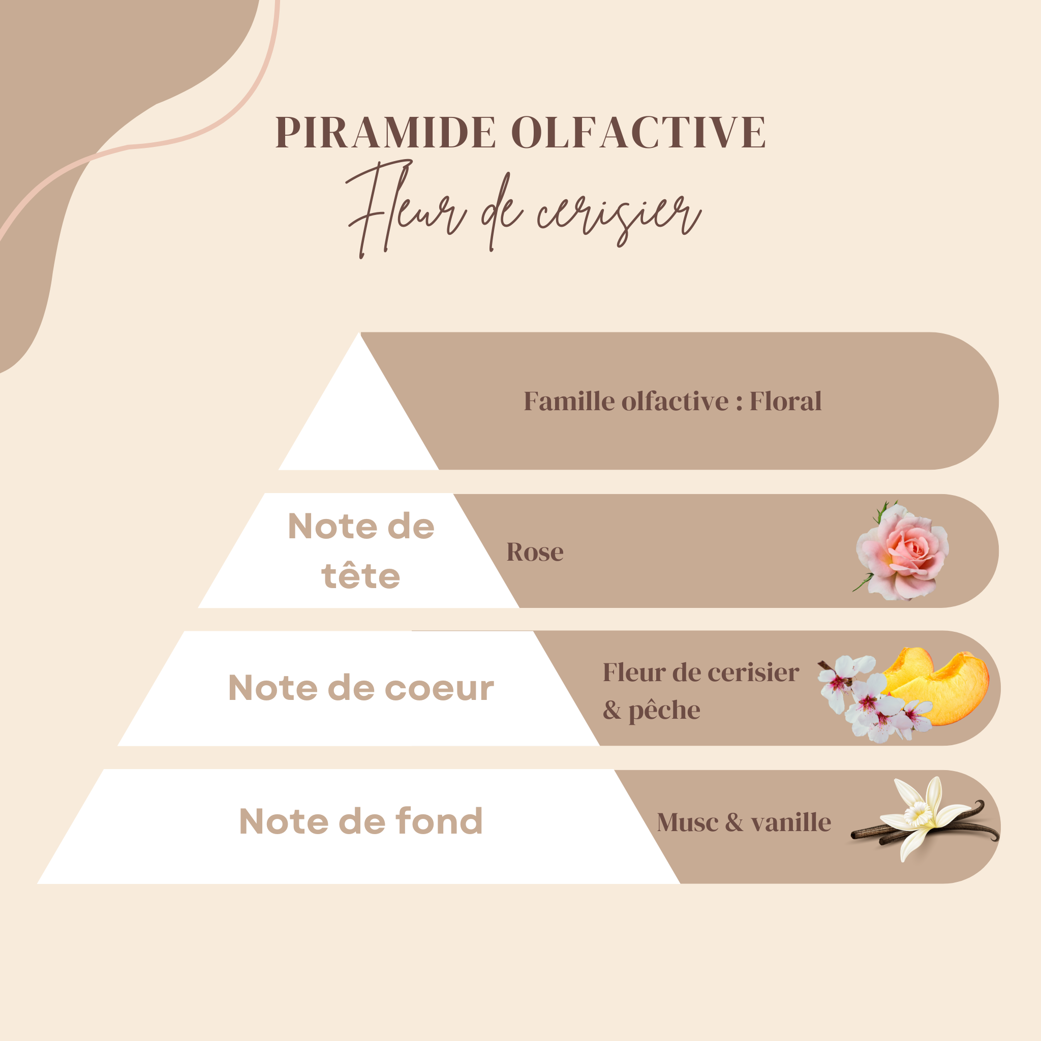 Fleur de cerisier