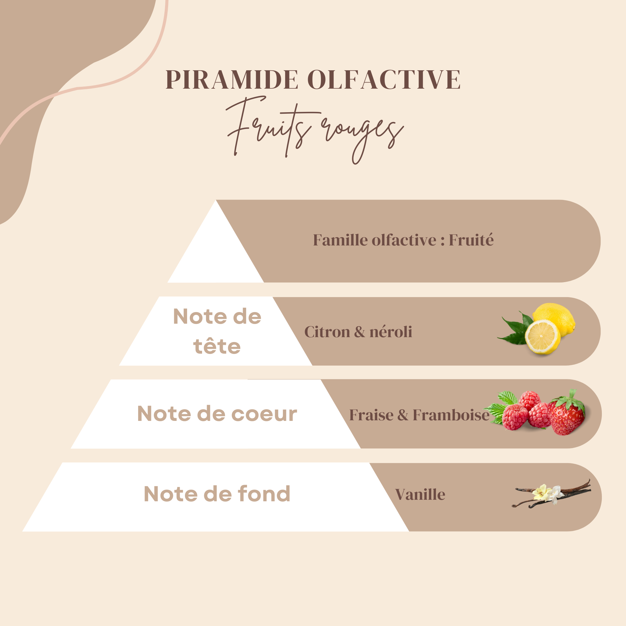 Fruits Rouges