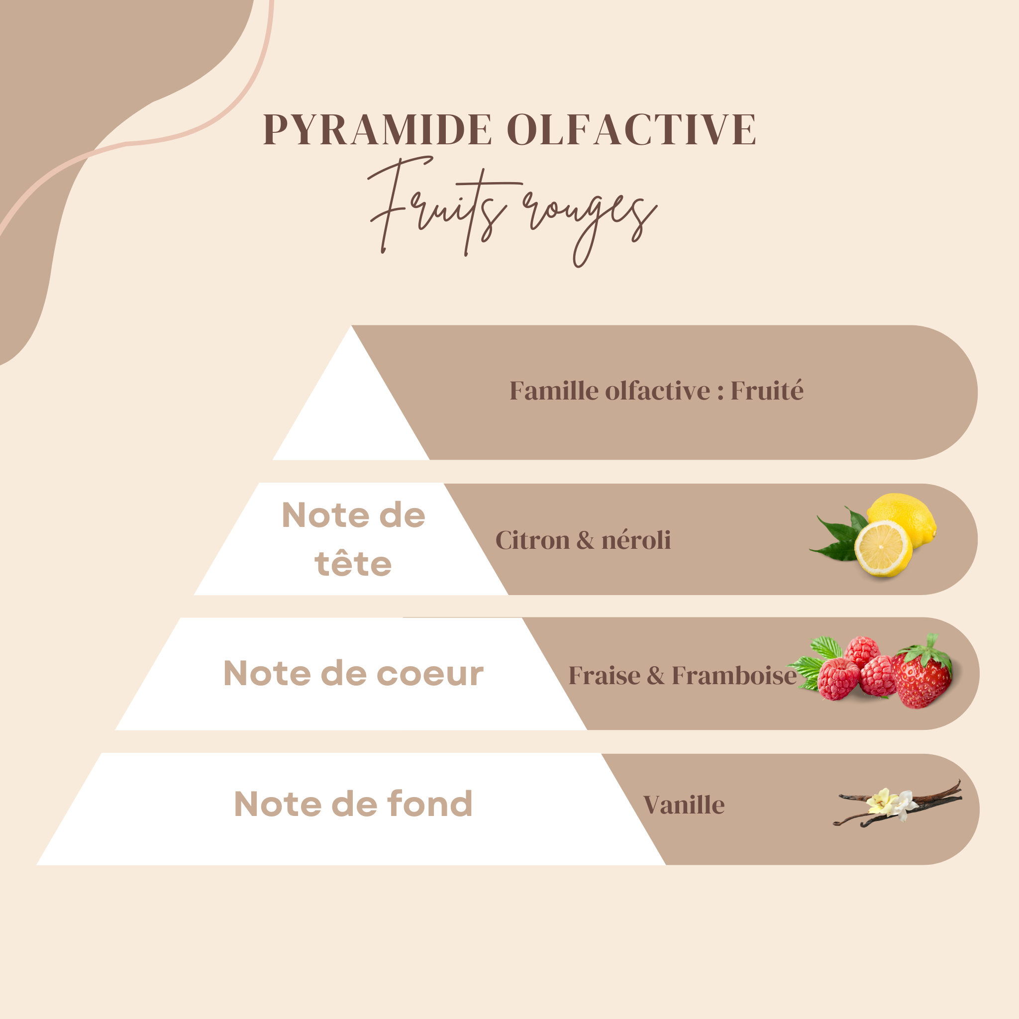 Fruits Rouges